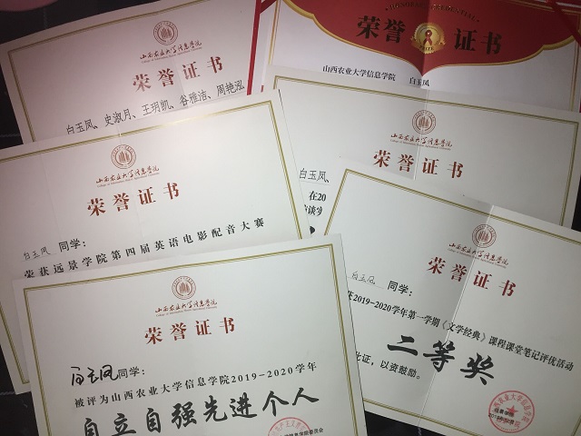 学习标杆·白玉凤：青春由磨砺而出彩 人生因奋斗而升华