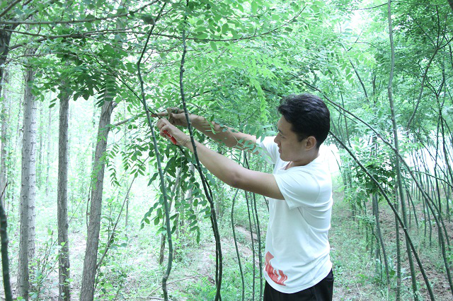 【生存挑战赛】10支战队三天两夜生存挑战——第九届“勇者印迹”生存挑战赛