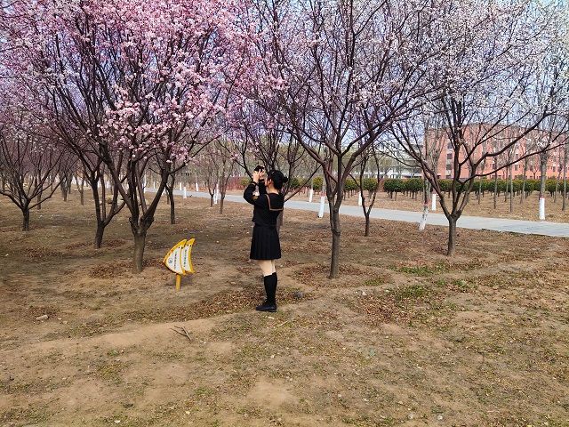 【完满班级】伴随花香 寻找春天——食品与环境学院土管1902班完满班级活动