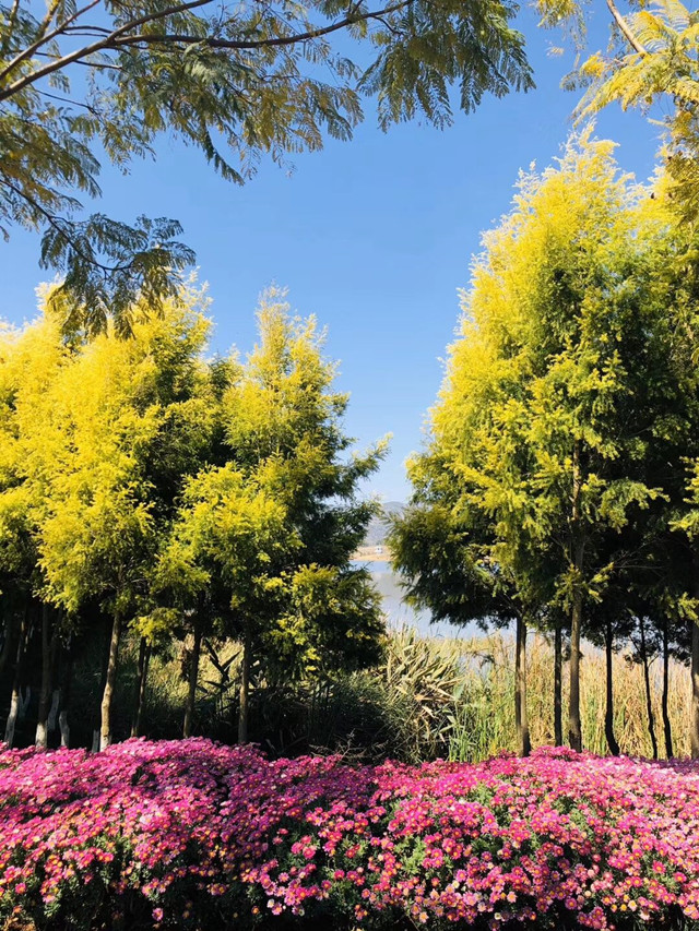 【完满班级】疫情就是命令——外国语言文学系英语1803班2月完满班级活动