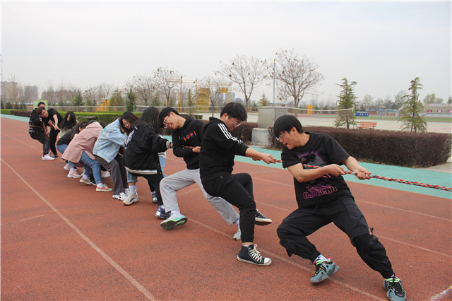 力拔山河 淬炼学子运动场上竞风采