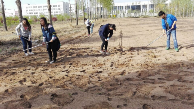 邂逅 那一片绿——农场协会之“开心农场”