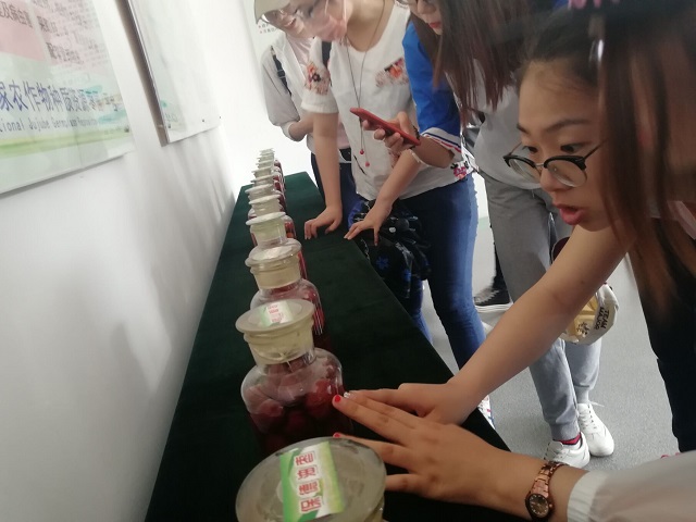 【完满班级】所爱隔山海 山海皆可平——食品与环境学院爱情价值观研讨会