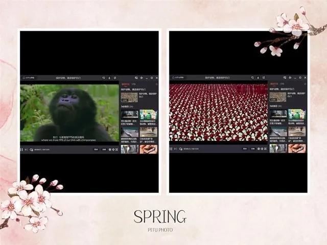 书院第10周活动纪实·我们一起“趣”书院