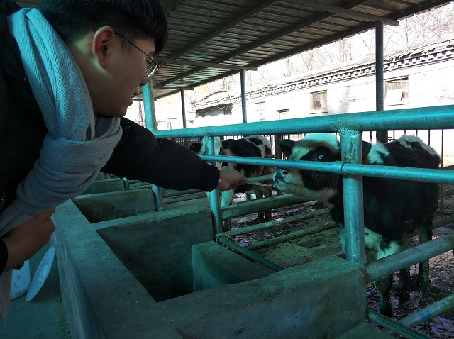 【完满班级】最是人间留不住 朱颜辞镜花辞树——远景1701班创意写作户外活动