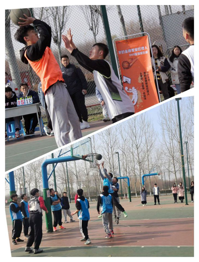 【1+1＞2】以篮球之名 冠青春无畏——“我的金牌职业经理人”3V3联赛