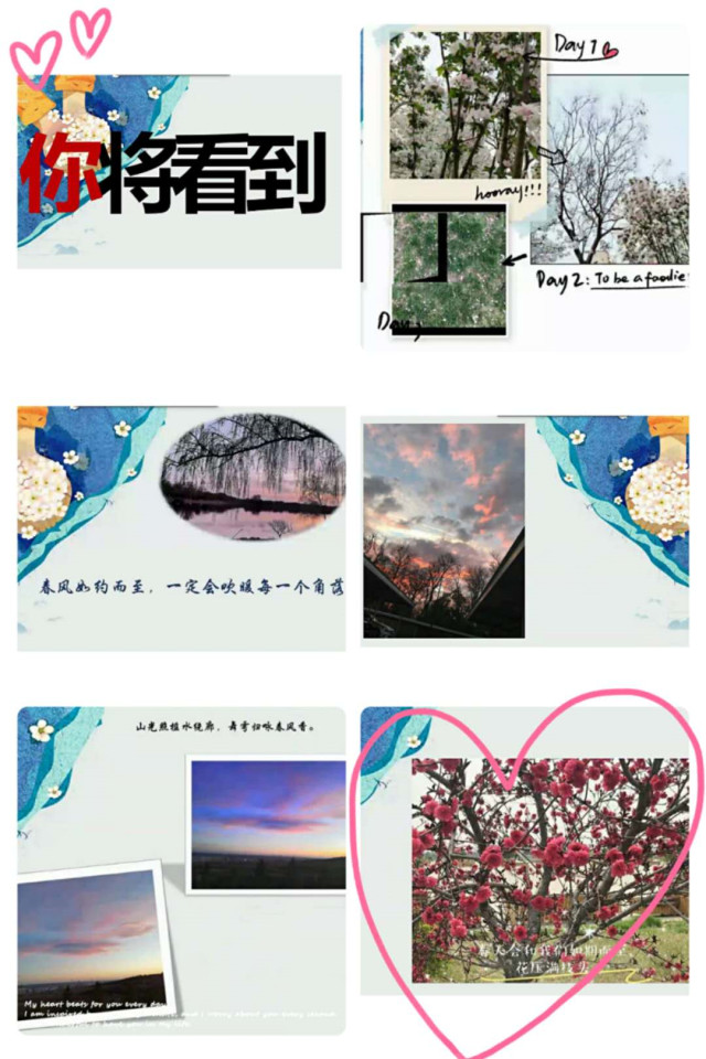 【完满班级】追寻春天的足迹——淬炼商学院财务1903班完满班级活动