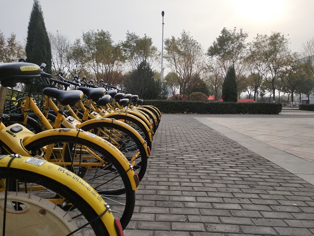 【完满班级】学雷锋 净校园——环设1804“校园清洁 你我共有”11月完满班级活动