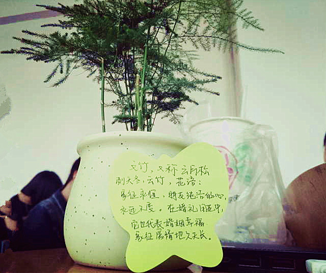 【骨干四班】愿初遇的那一株花香 能芬芳你所有的流年——骨干四班开展“绿植寄语”班级活动