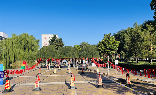 【迎新纪实】一见倾“新” 淬炼满怀爱意只为你来——淬炼·国际商学院迎新实录