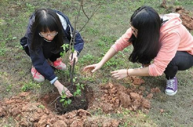 【完满班级】新时代 继往开来传承植树精神——环科系园林1601班举办完满班级活动