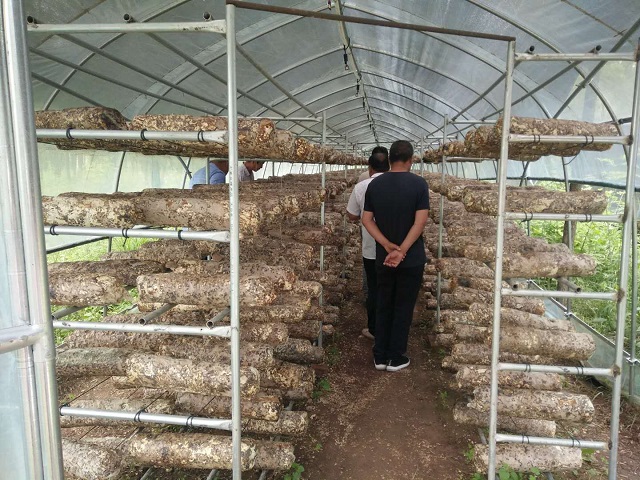 【暑期社会实践】筑梦青春 惠农助农 ——大数据学院、信息工程学院“决战决胜·乡村行”系列活动二