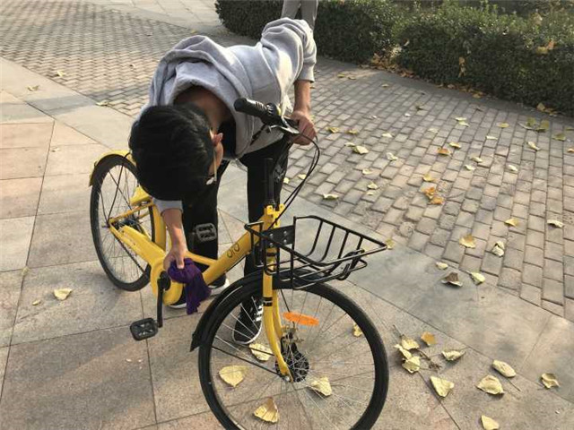【完满班级】秋风不解迟桂花 菊盛艳艳呈娇面——机制1703班举办我为OFO“擦把脸”完满班级活动