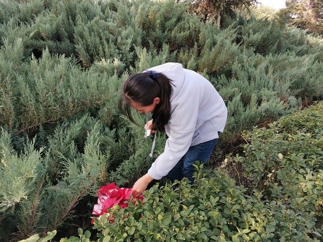 【完满班级】校园卫生 从我做起