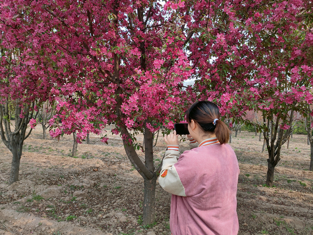 【完满班级】“探索春天的奥秘”摄影活动——软件1801班完满班级活动