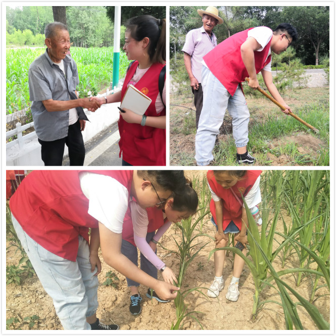 绿水青山西许行 助力乡旅新风尚