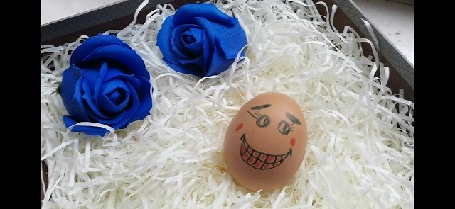 【书院传真】三达书院5月特色亮点工作回顾