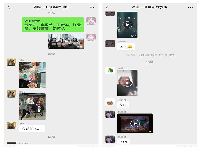 【完满班级】温馨秋日 心灵归港——食品与环境学院动医2101班完满班级活动