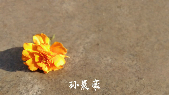 【完满班级】我与信院 有个羁绊——淬炼商学院十月完满班级主题活动（七十八）