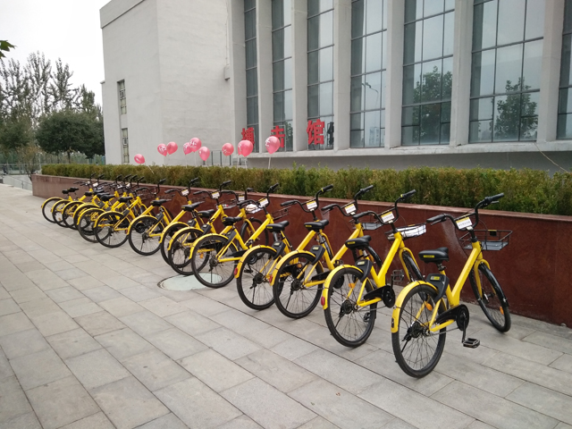 【完满班级】这秋风瑟瑟的季节 有一股暖流奔向你——艺术传媒系视觉1501、1502班“文明骑士”单车特别行动