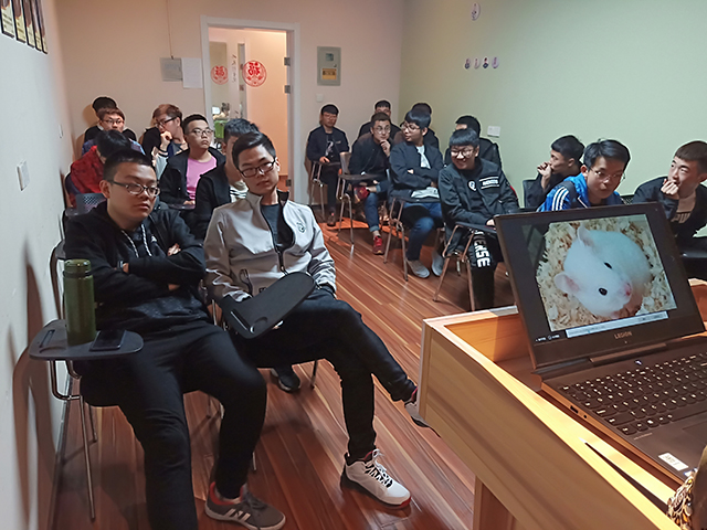 【完满班级】保护野生动物 就是关爱人类自己——网工1801班级文化宣传教育活动