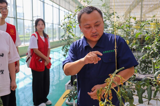 【三下乡】未来农业新模式 一座神奇的“植物工厂”——大数据学院、信息工程学院“智·惠农”太谷农高区产业振兴实践团