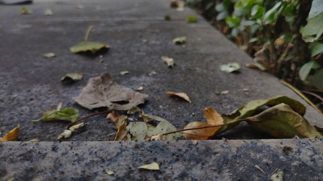 【完满班级】校园一角 摄影交流——数字1802班完满班级