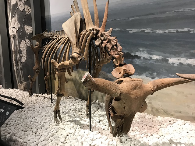 【辅导员说完满】品苏杭文化 赏江南风情——艺术传媒学院2017级视觉动产服举办辅导员说完满活动