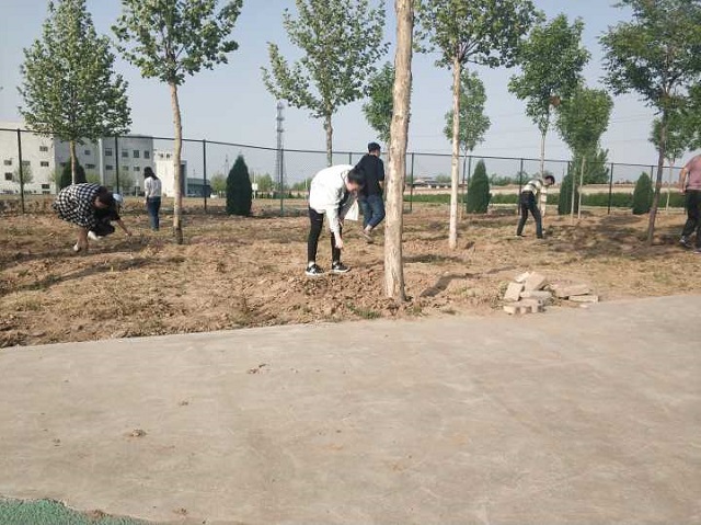 【完满班级】正青春 志愿行——淬炼商学院五月完满班级主题活动（三十二）