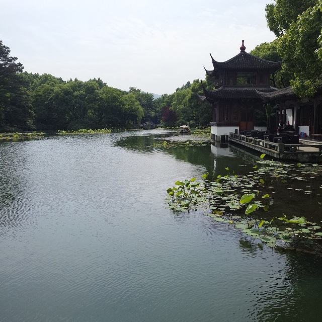 【完满班级】接天莲叶无穷碧 映日荷花别样红——艺术传媒学院环设1601、1605班举办创意照拍摄活动