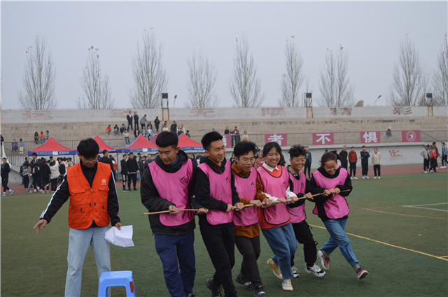 “阳光杯”智勇大冲关锻造团队协作力