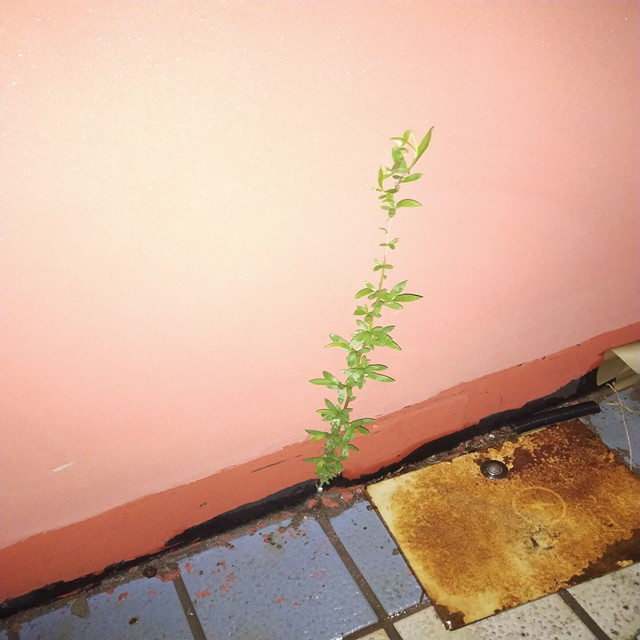 【完满班级】 与君享春意盎然——大数据学院数字1802班完满班级活动