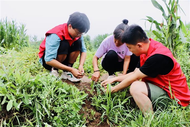 【三下乡】筑“梁” 膏“梁” 锦绣振兴篇——经济与管理学院星火“乡”筑乡村振兴促进团社会实践活动第四篇章