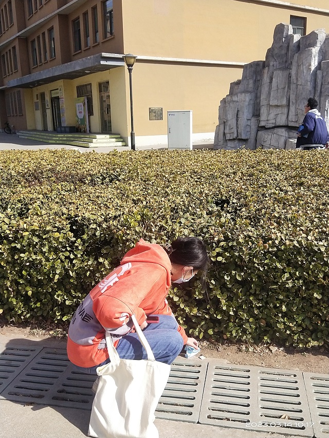 【完满团支部】学雷锋树新风 争当信院文明使者——商务英语学院英语2216班完满团支部活动