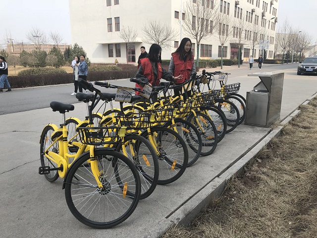 来自不同队伍 我们共同奉献——淬炼商学院专项志愿者服务队开展专项活动