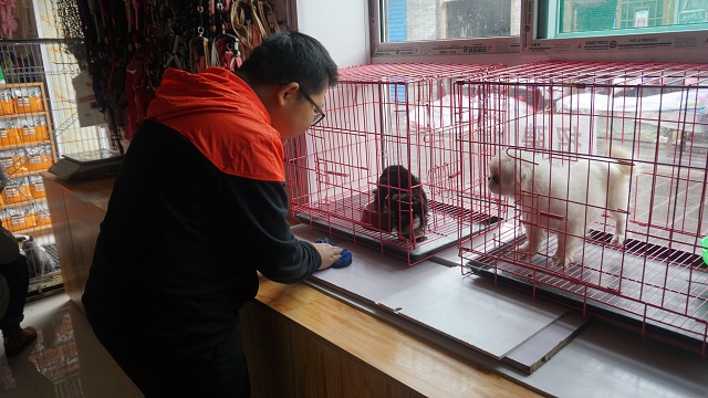 【1+1>2】各院系积极开展完满教育与学术教育融合发展活动
