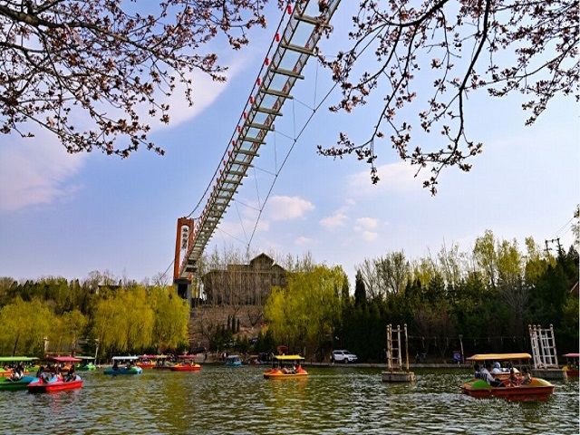 【完满班级】尽善尽美 尽在家乡——食品与环境学院土管1901班完满班级活动