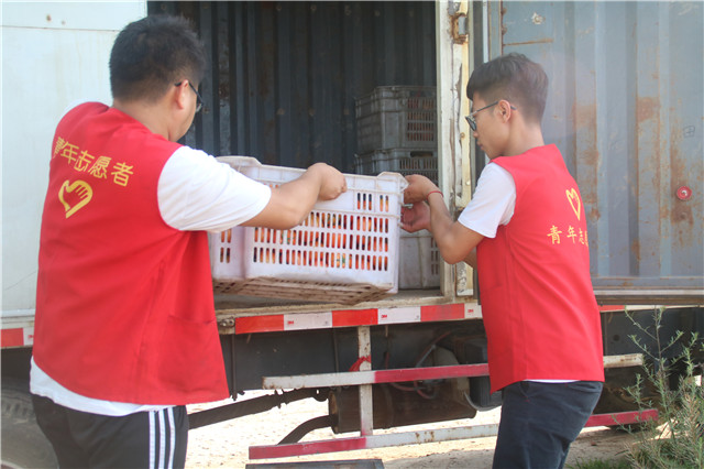 【三下乡】志愿者风采：收获番茄 收获不一般的经历——机电工程系“机时予”象谷村志愿服务纪实（三）