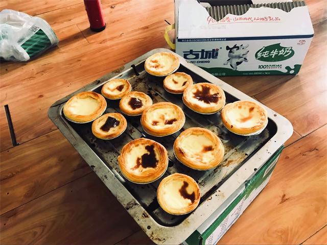 【缤纷百团】心系一抹绿色 静坐赏琴品尝