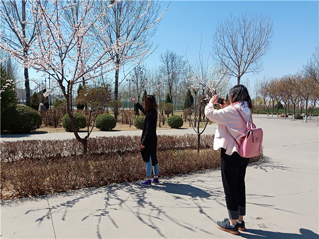 【完满班级】抖音 记录不一样的信院 ——网工1802班抖音拍摄活动