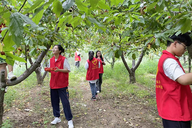 【三下乡】传承红色文化 延续农耕火种——大数据学院、信息工程学院乡村振兴实践团