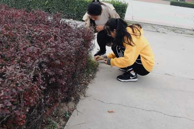 【完满班级】抓住秋天的色彩——数字1801班举办“抓住秋天的色彩”完满班级活动