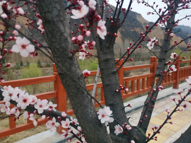 【完满班级】我与春天——工设1801班级完满班级活动