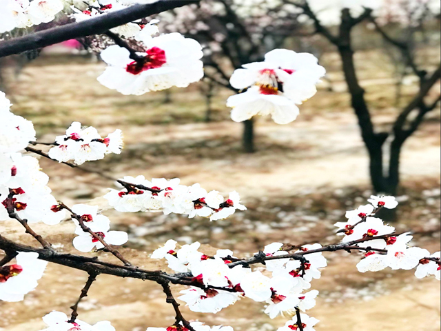 艺术传媒学院三月完满班级活动总集