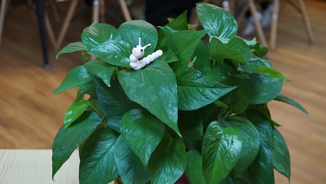 【完满班级】指尖上的艺术 沉浮中的宁静——数字1802班完满班级活动