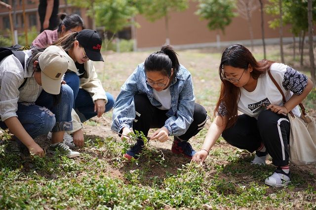 【社团快讯】除草换新守净土 绿动农业育人才——食品与环境学院绿时代助学兴农育人工程之“开心农场”农业体验园