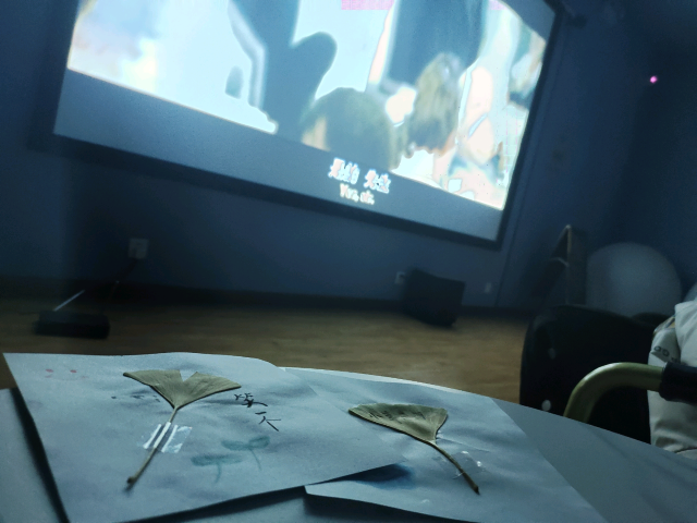 学长计划第1027期:“影”动心灵 影响人生——智能工程学院第142期学长计划之“心随影动 净化心灵”