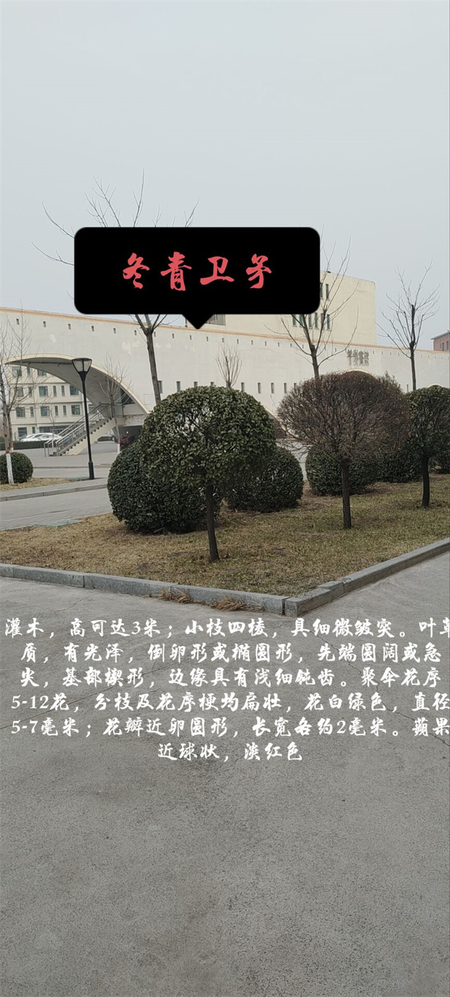 【B类社团】绿化甬江大地 点缀雄镇家园——经济与管理学院“植新绿,寓希望”绿化进校园活动