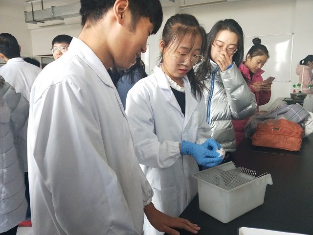 学长计划第597期:知识于脑 实践在心——食品与环境学院“学长计划·百花讲堂”第70期
