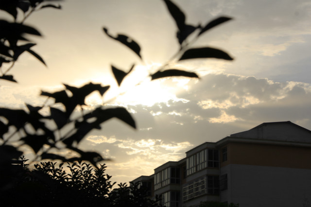 【三下乡】走进敦坊 让“美丽”发生——青年助力中国梦 共建美丽乡村行